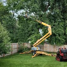 Best Utility Line Clearance  in Waurika, OK